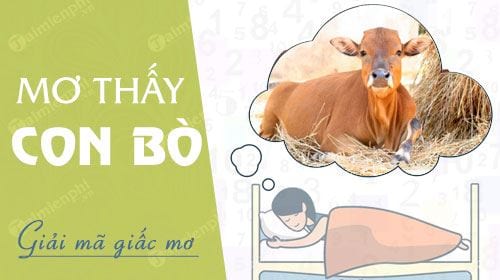 Mơ thấy con bò mang đến điều gì? Đánh giá điềm tốt và xấu